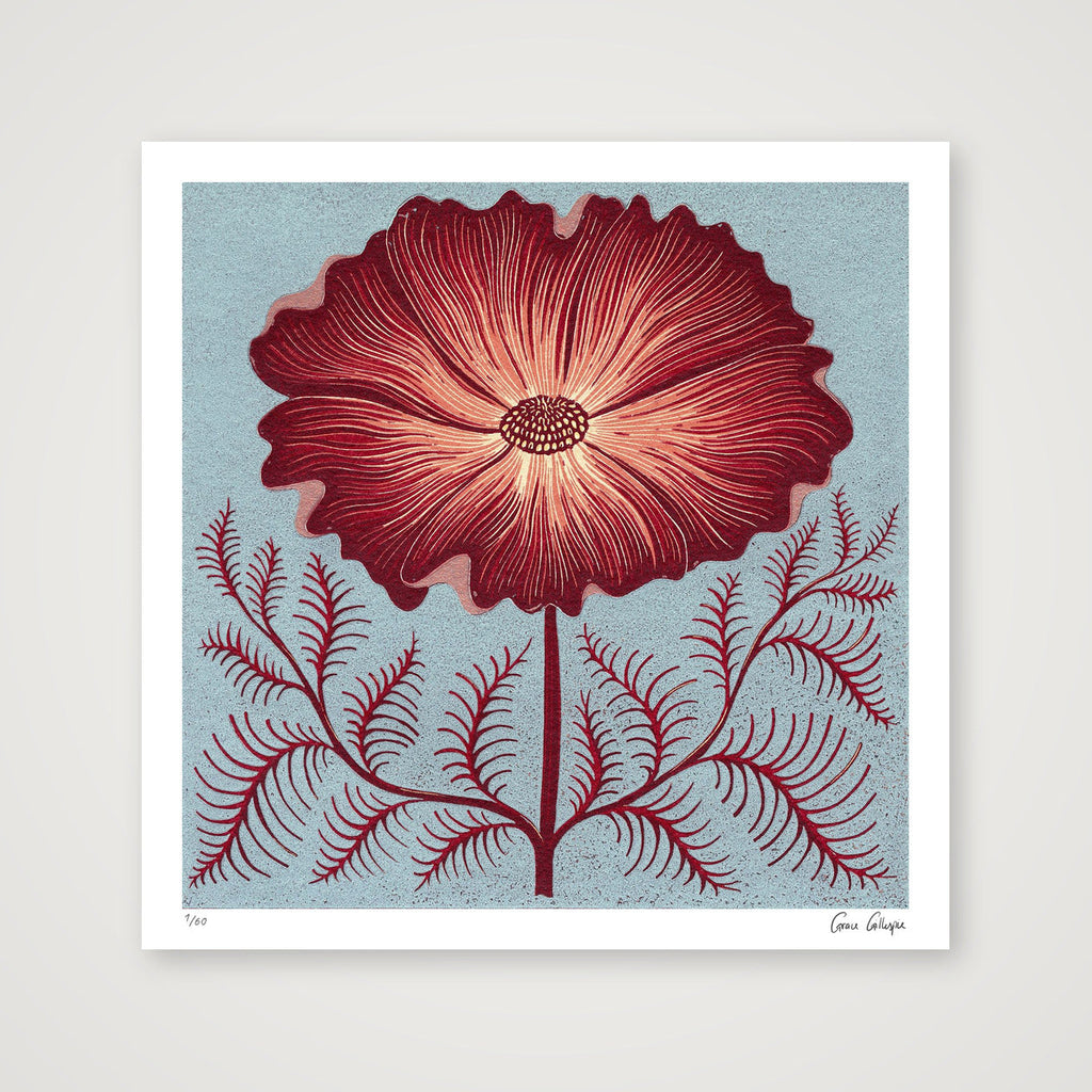Cosmos Reduction — 30×30cm, 12×12" Print only
