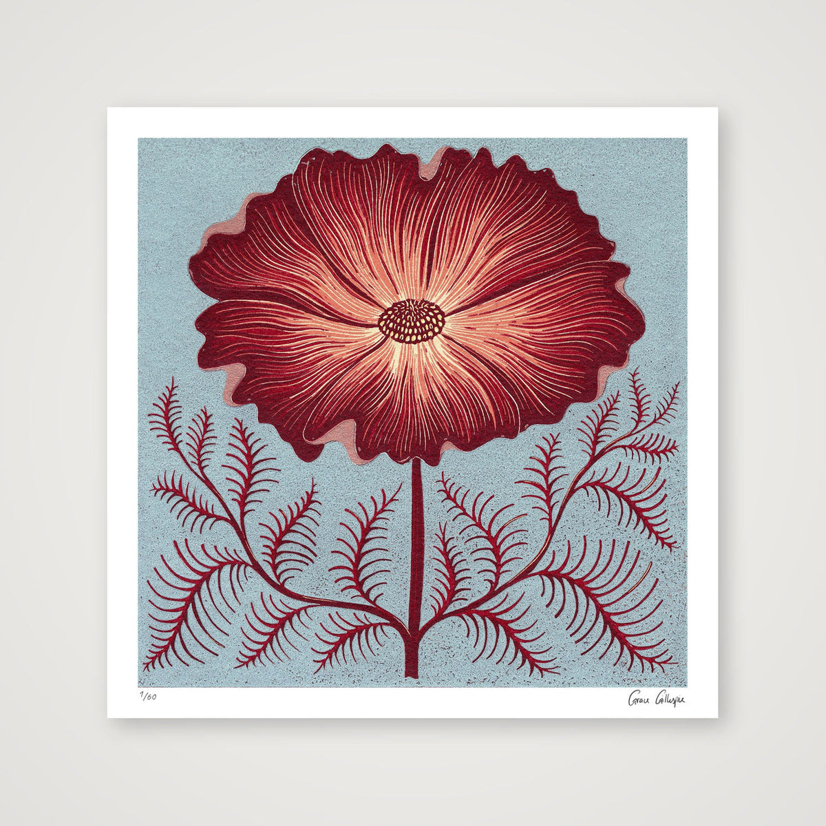 Cosmos Reduction — 30×30cm, 12×12" Print only