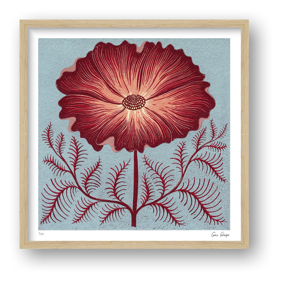 Cosmos Reduction — framed (Oak)