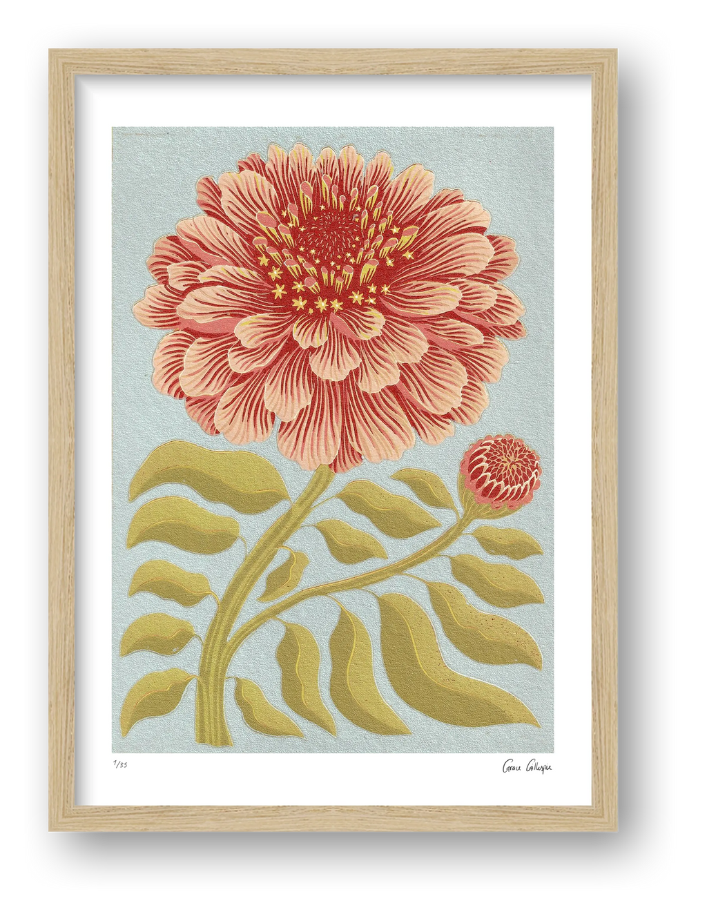 Zinnia Pale Blue — framed (Oak)