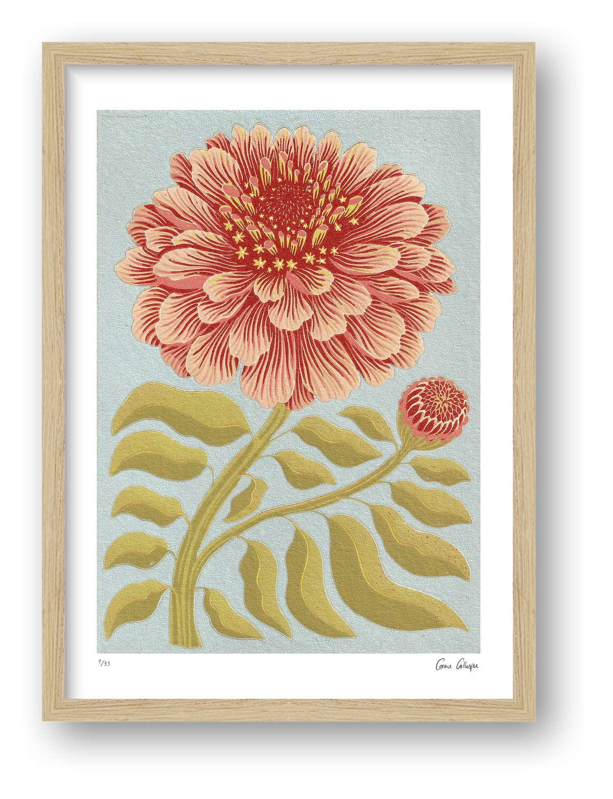 Zinnia Pale Blue — framed (Oak)