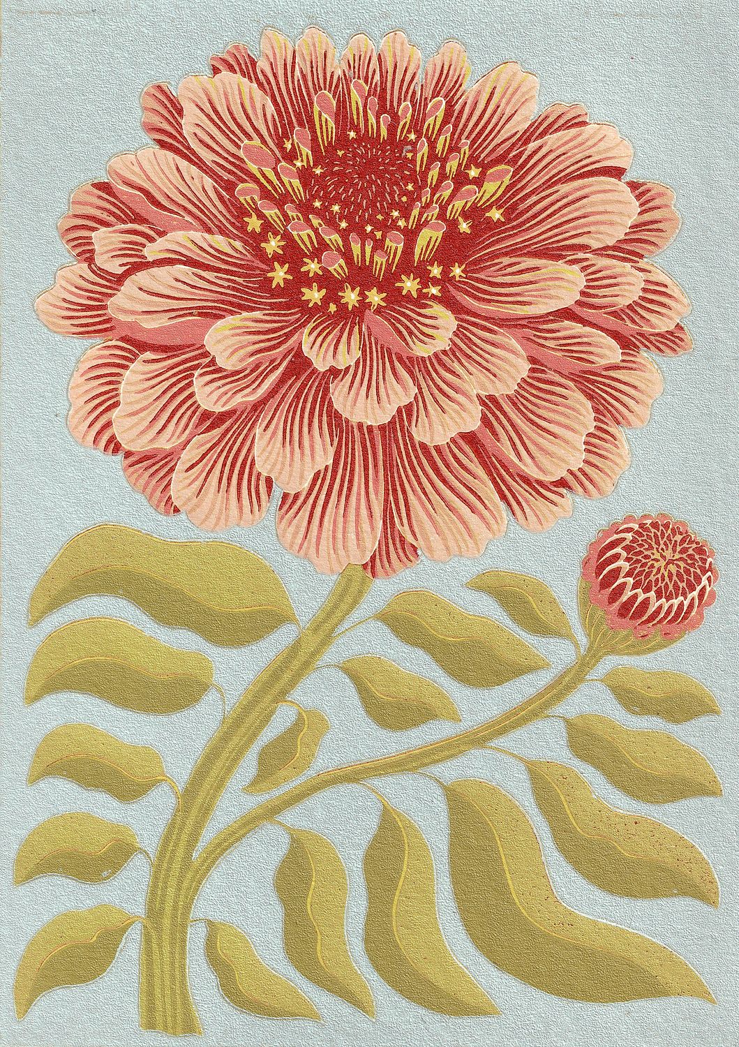 Zinnia Pale Blue