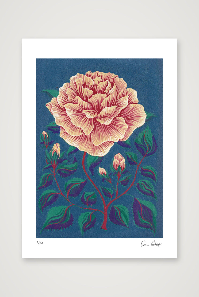Rose — A4 (21×30cm, 8×12") Print only