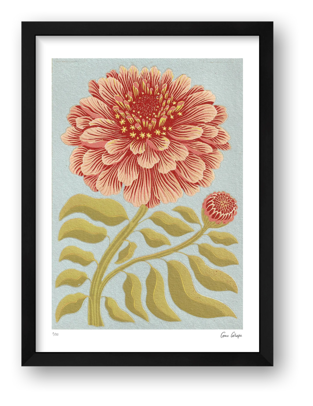 Zinnia Pale Blue — framed (Black)