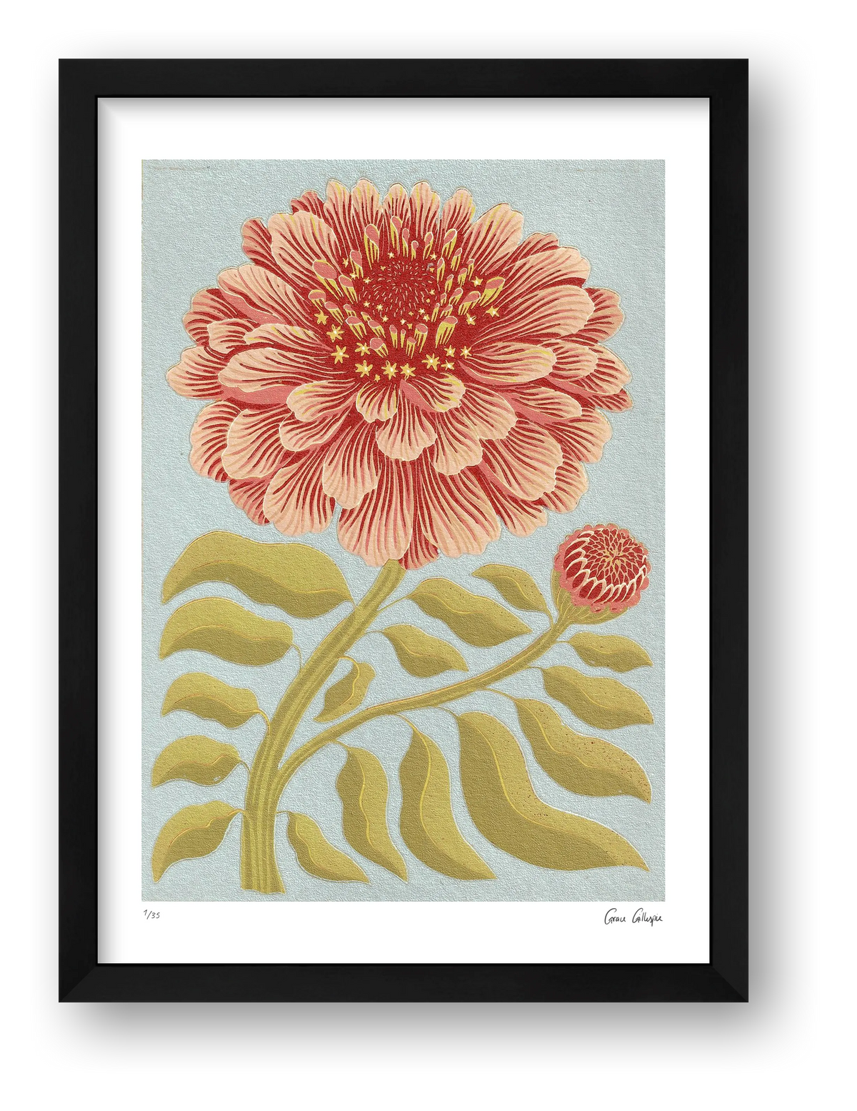 Zinnia Pale Blue — framed (Black)