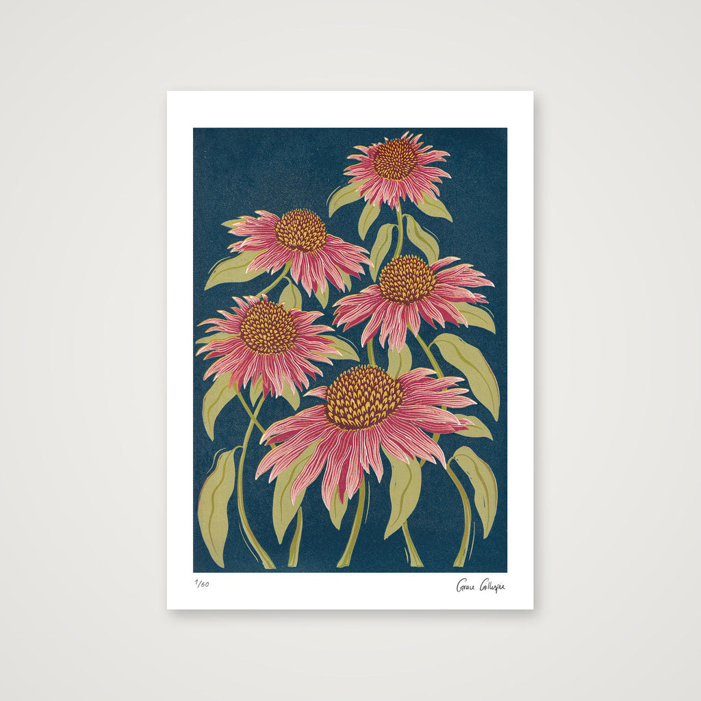 Echinacea — A4 (21×30cm, 8×12") Print only