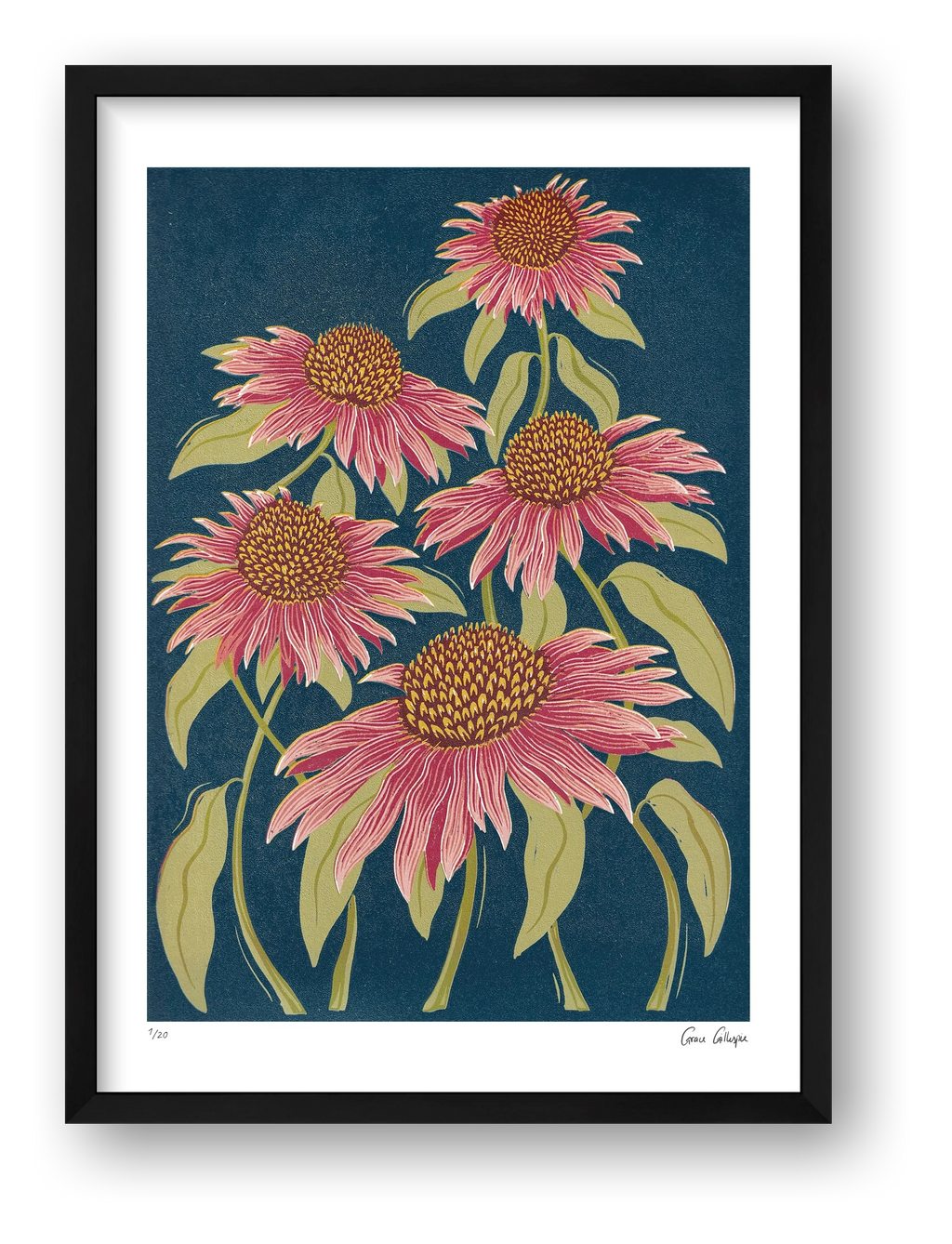 Echinacea — framed (Black)