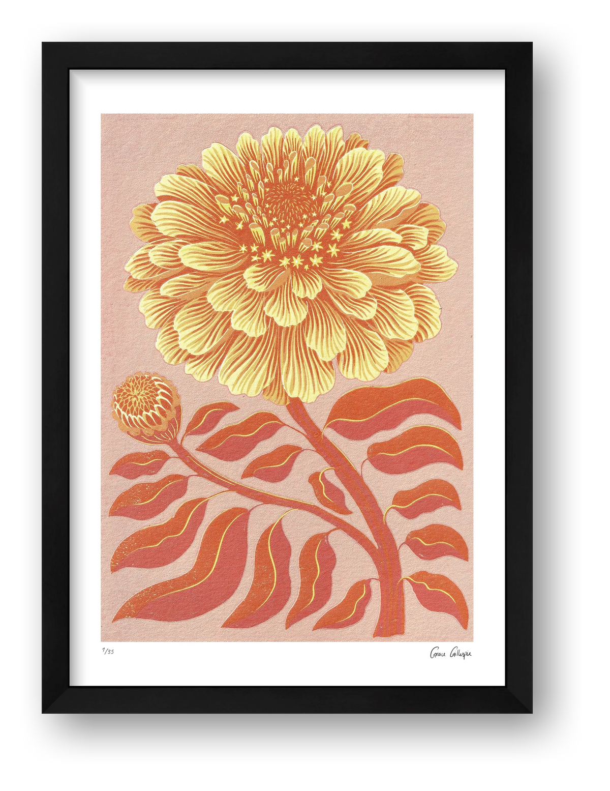 Zinnia Orange — framed (Black)