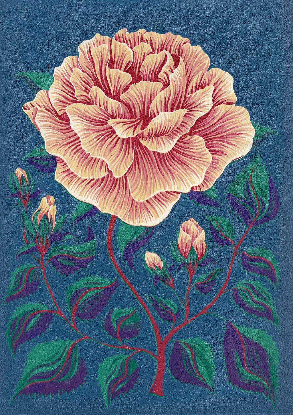Rose