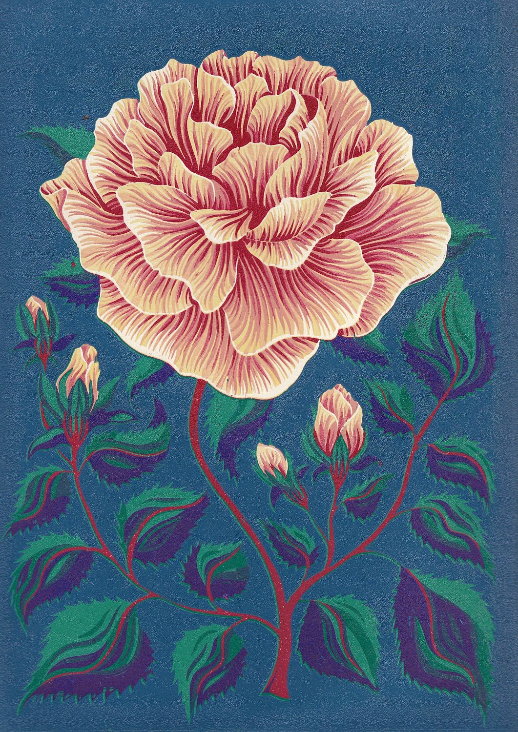 Rose