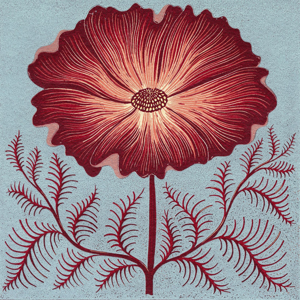 Cosmos Reduction