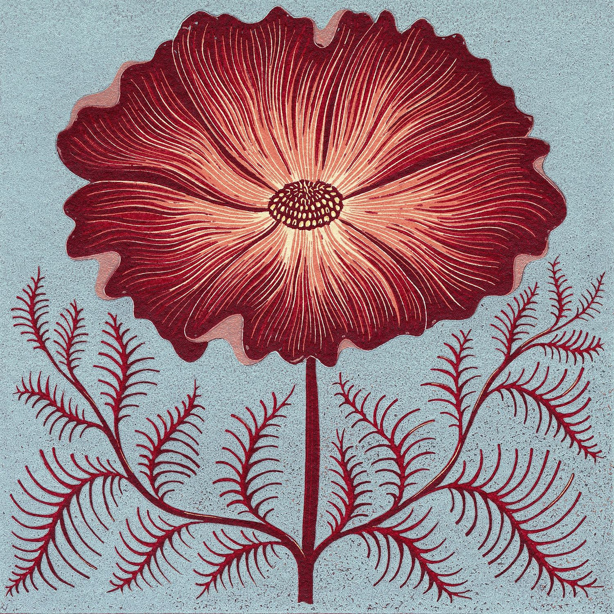 Cosmos Reduction
