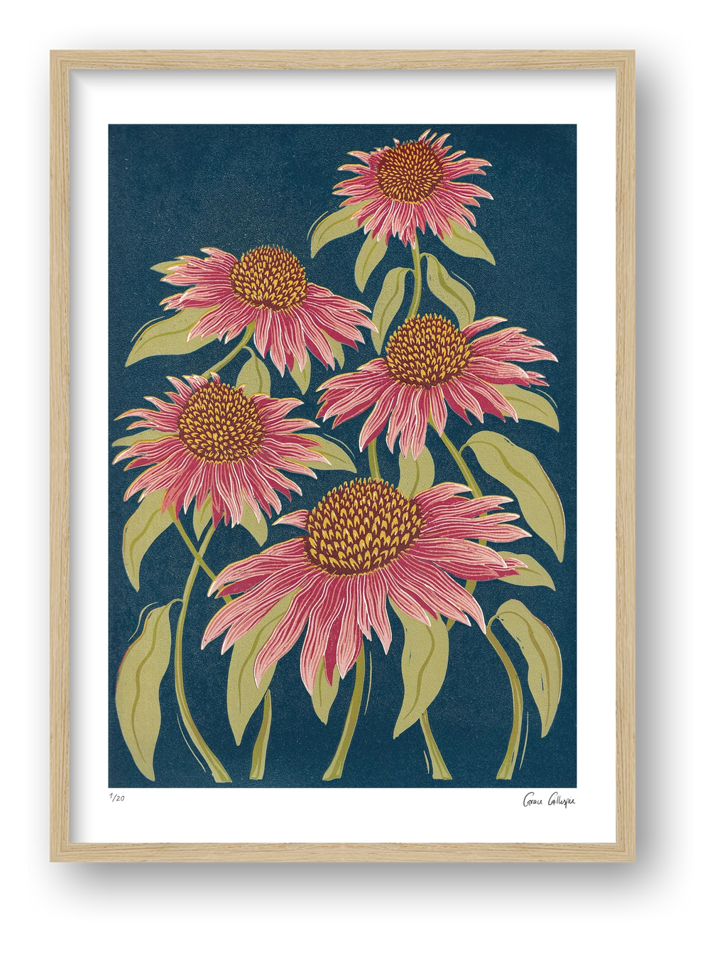 Echinacea — framed (Oak)