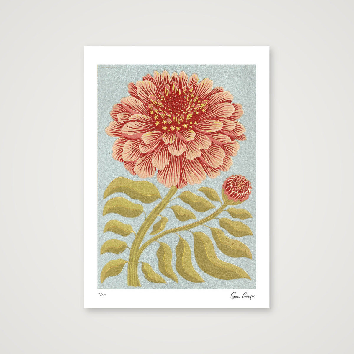 Zinnia Pale Blue — A4 (21×30cm, 8×12") Print only