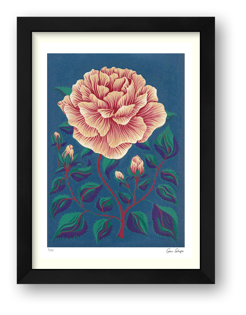 Rose — framed